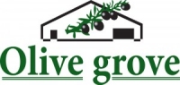 Olive Grove